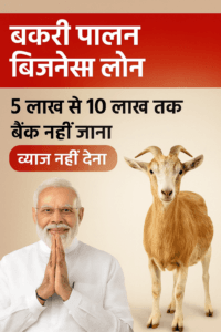 Bakri Palan Loan
